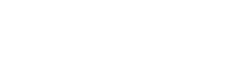 Platinum Motoring logo